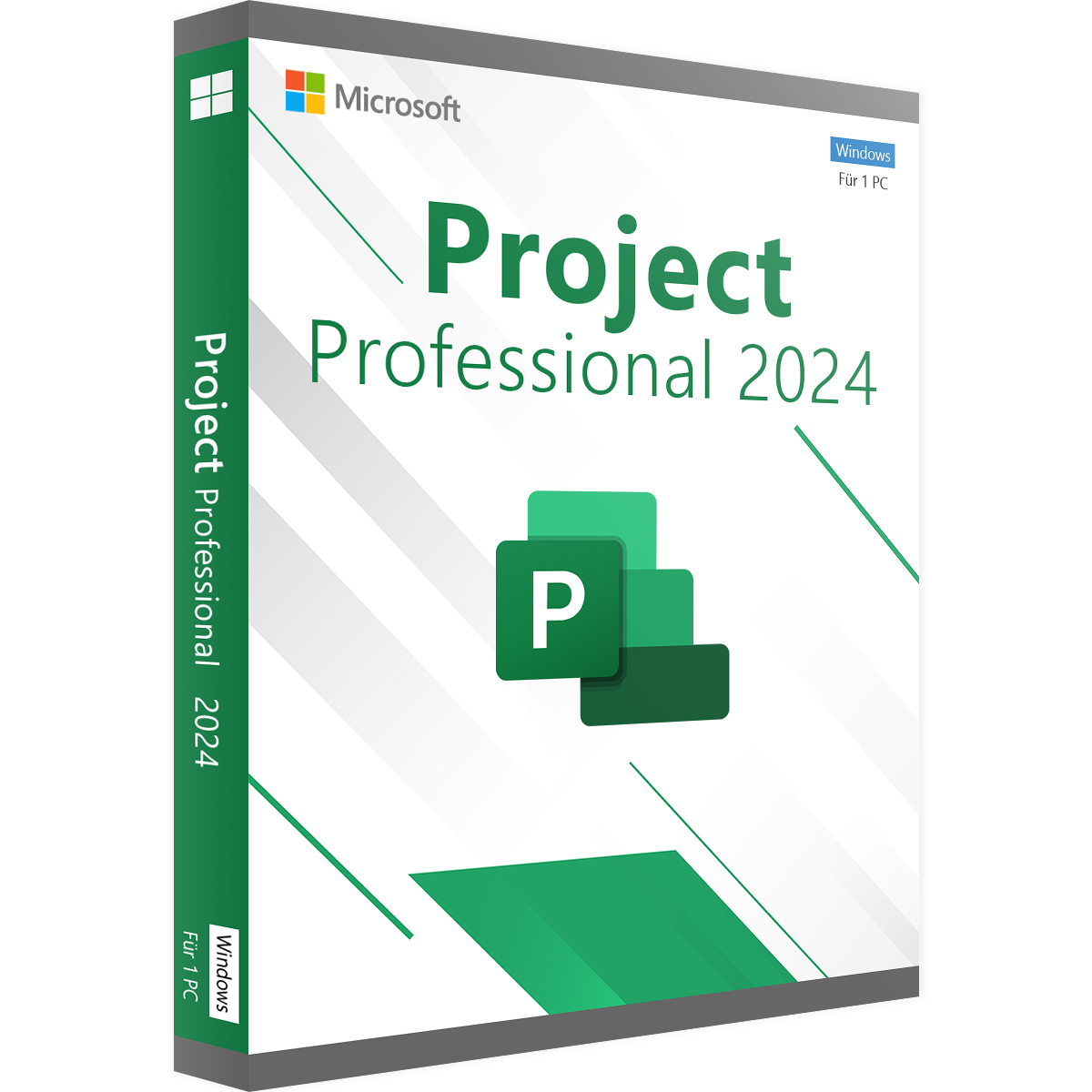 Project 2024 Professional