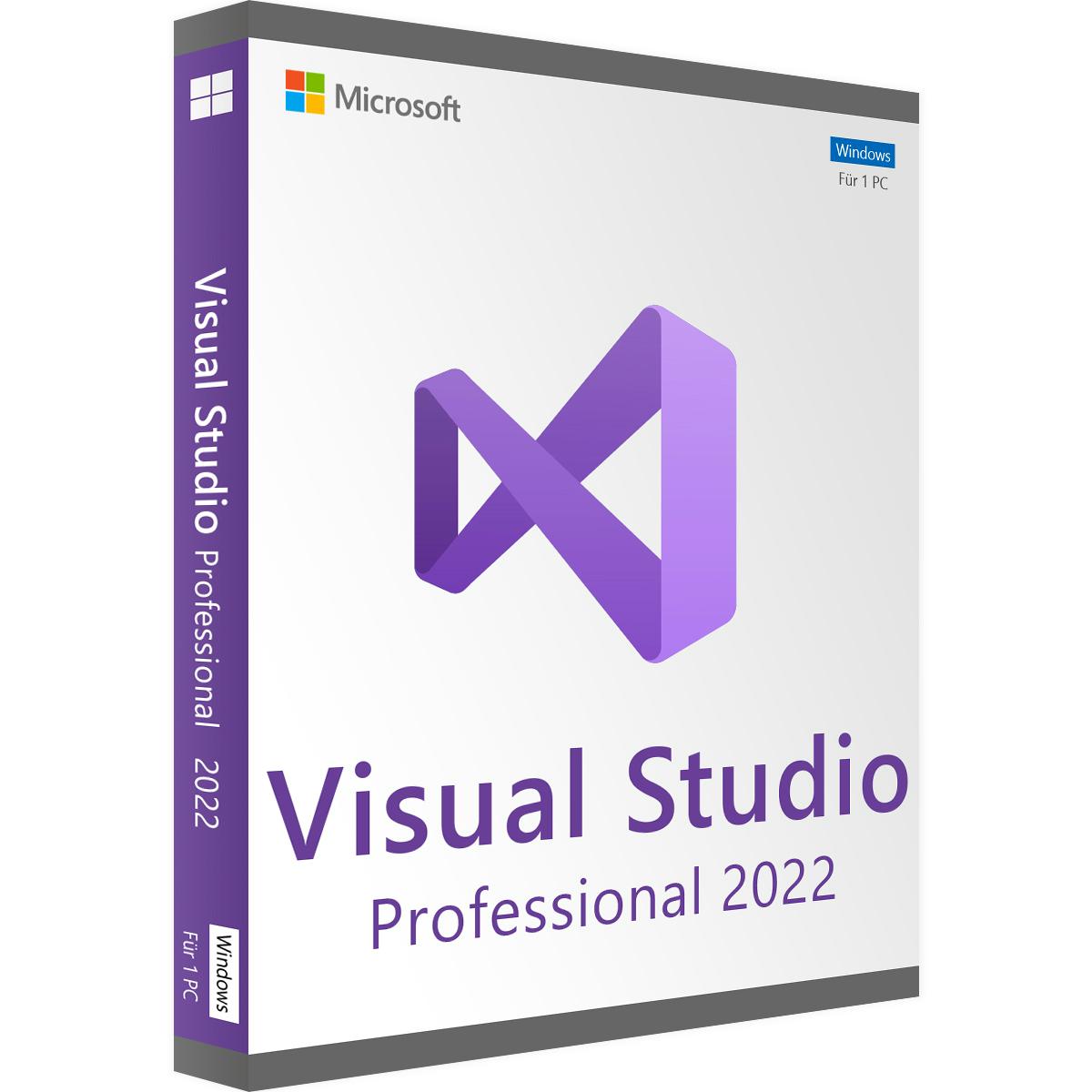 Microsoft Visual Studio Professional 2022