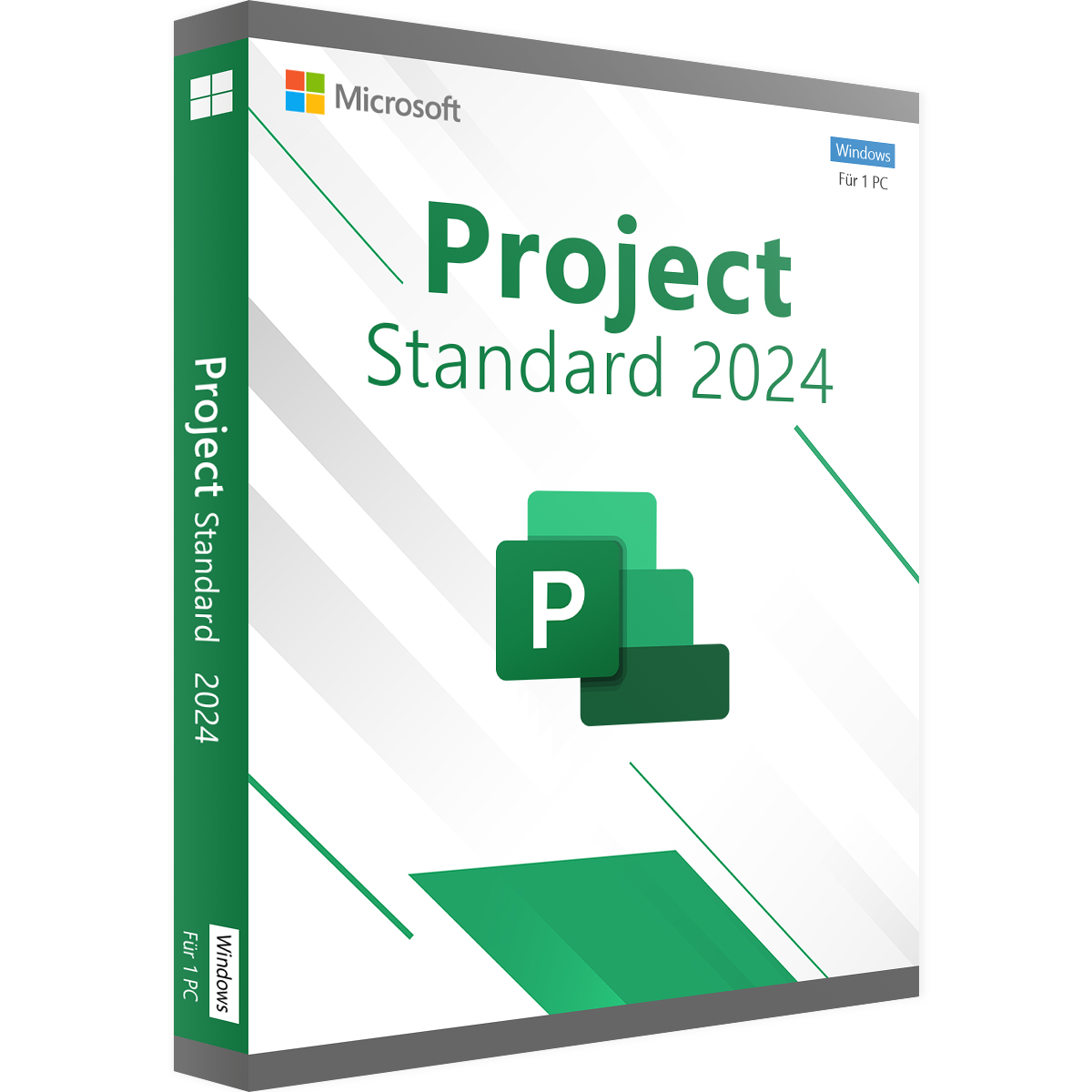Microsoft Project 2024 Standard | LL10249