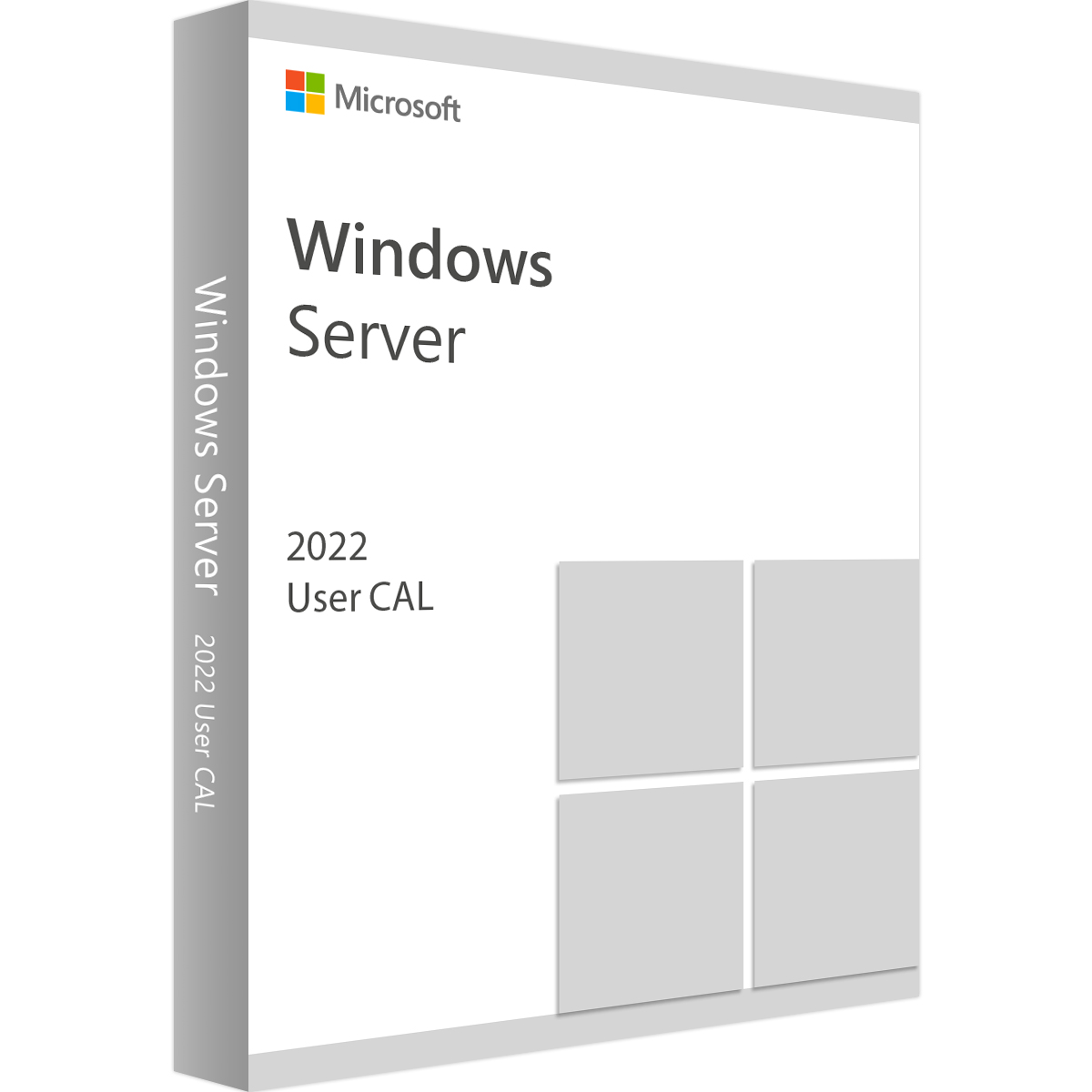 Windows Server 2022 CAL - 1 Device