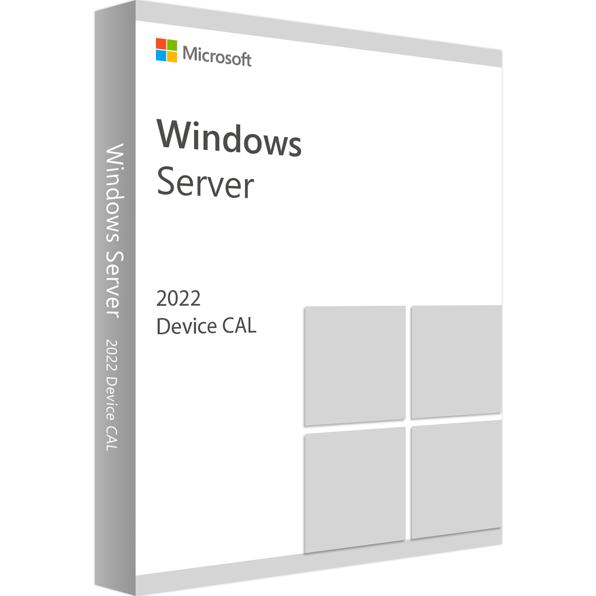 Windows Server 2022 CAL - 10 Device